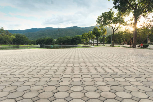 Best Professional Driveway Pavers  in Highland Park, NJ